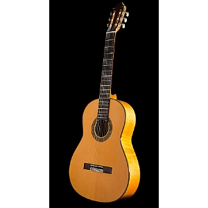 Sonata Flamenca